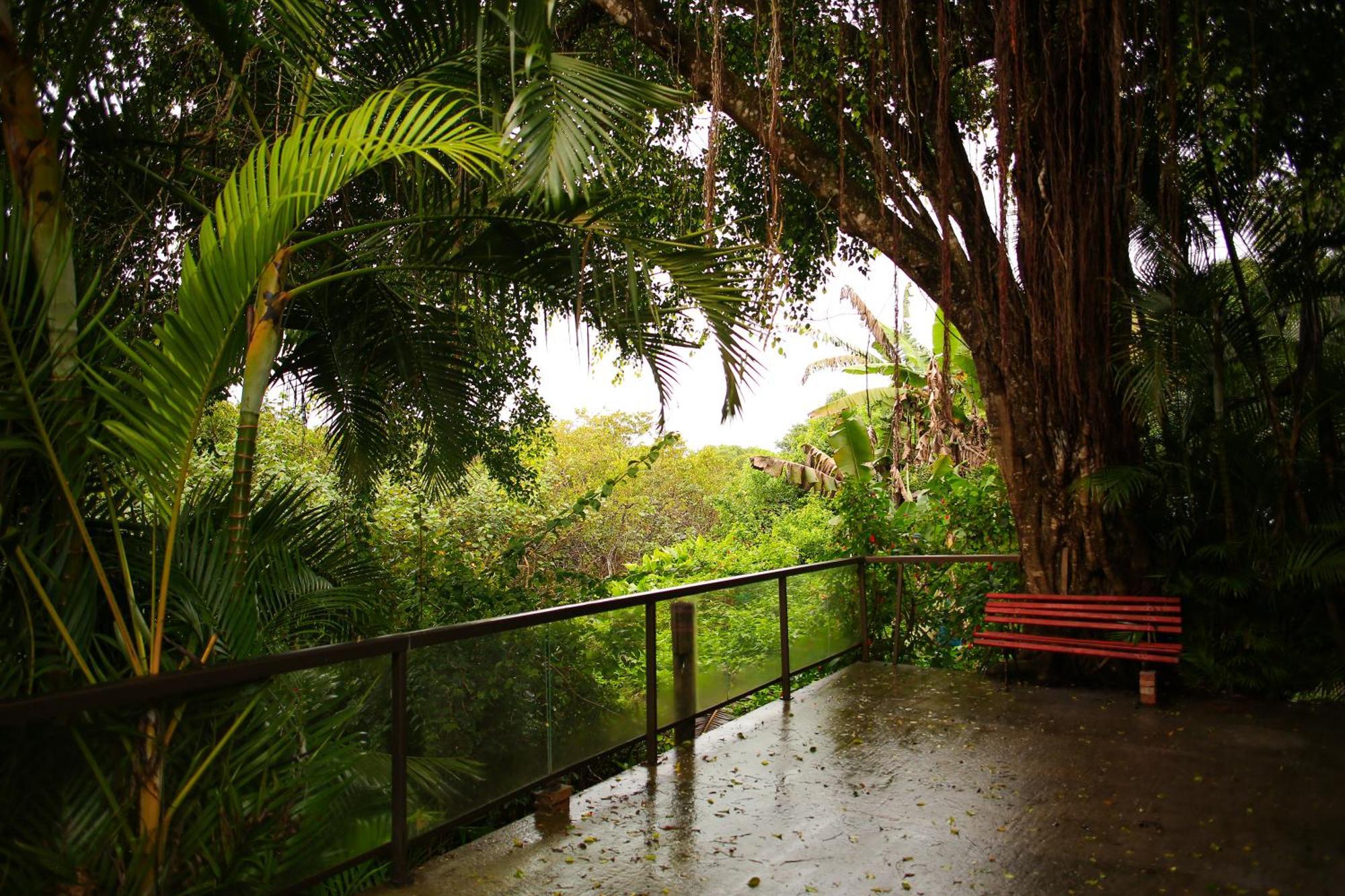 Pousada Villa Verde - Frente Para A Praia Do Farol Ilha do Mel Ngoại thất bức ảnh